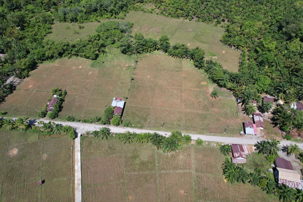 Sawah Baro Paya